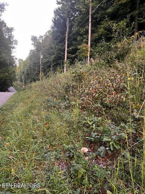 Photo of Yoakum Hollow Rd, Jacksboro, TN 37757 (MLS # 1356277)