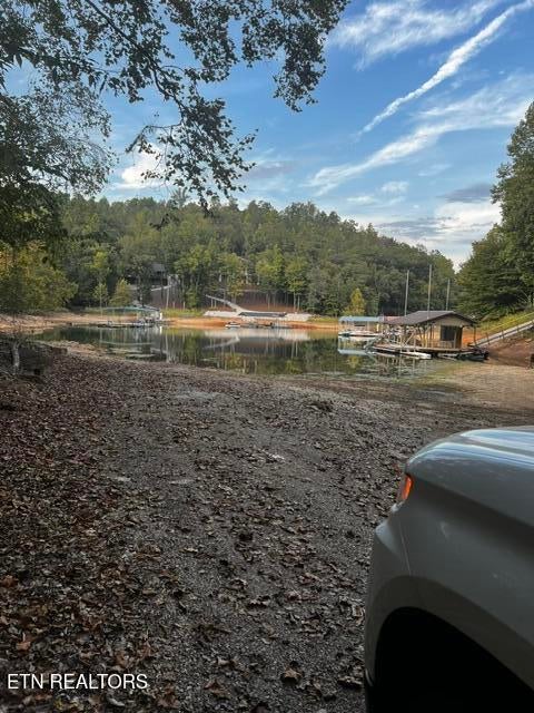 Photo of Yoakum Hollow Rd, Jacksboro, TN 37757 (MLS # 1356277)