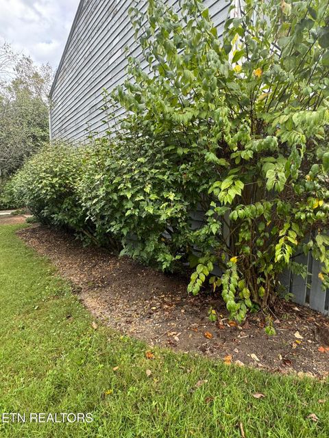 Tiny photo for 427 Bramblewood Lane, Knoxville, TN 37922 (MLS # 1317906)