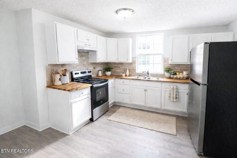 Tiny photo for 1619 Worth St, Knoxville, TN 37917 (MLS # 1338660)