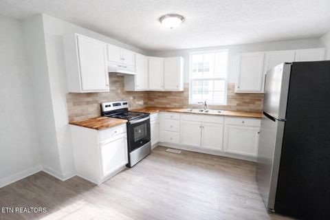 Tiny photo for 1619 Worth St, Knoxville, TN 37917 (MLS # 1338660)
