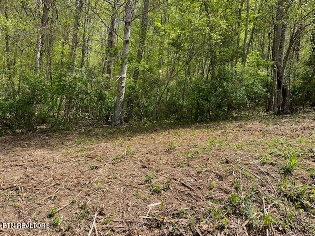 Photo of Lot 2 Cabin Rd, Speedwell, TN 37870 (MLS # 1298300)
