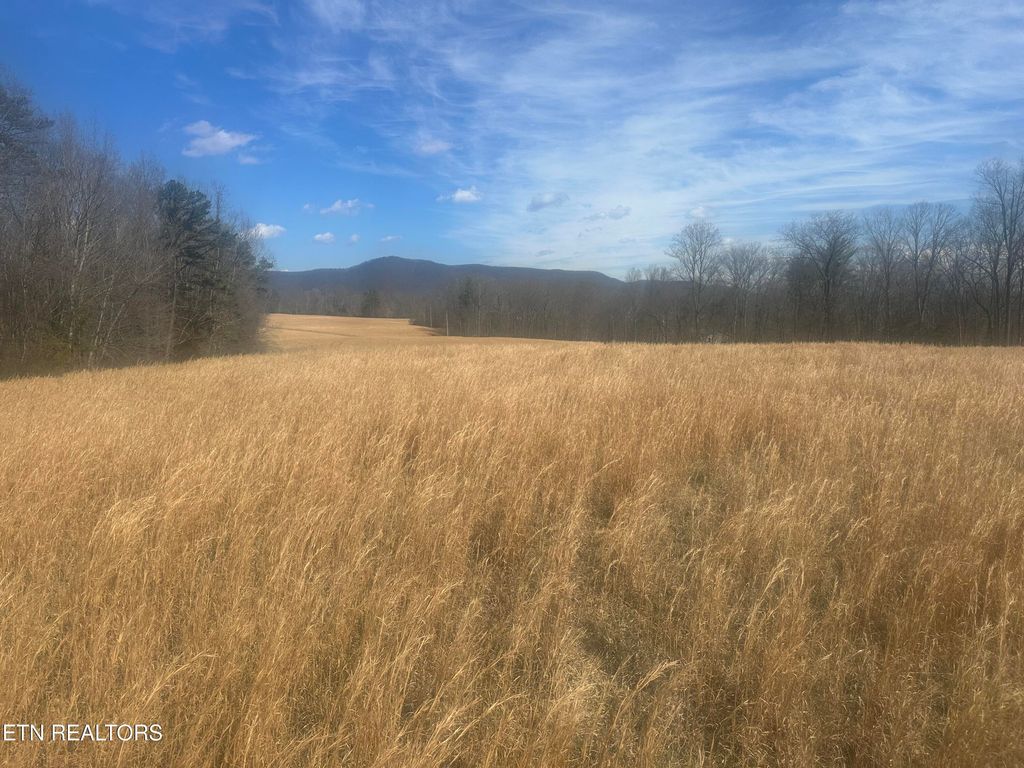Photo of Ruppe Rd, Oakdale, TN 37829 (MLS # 1315176)