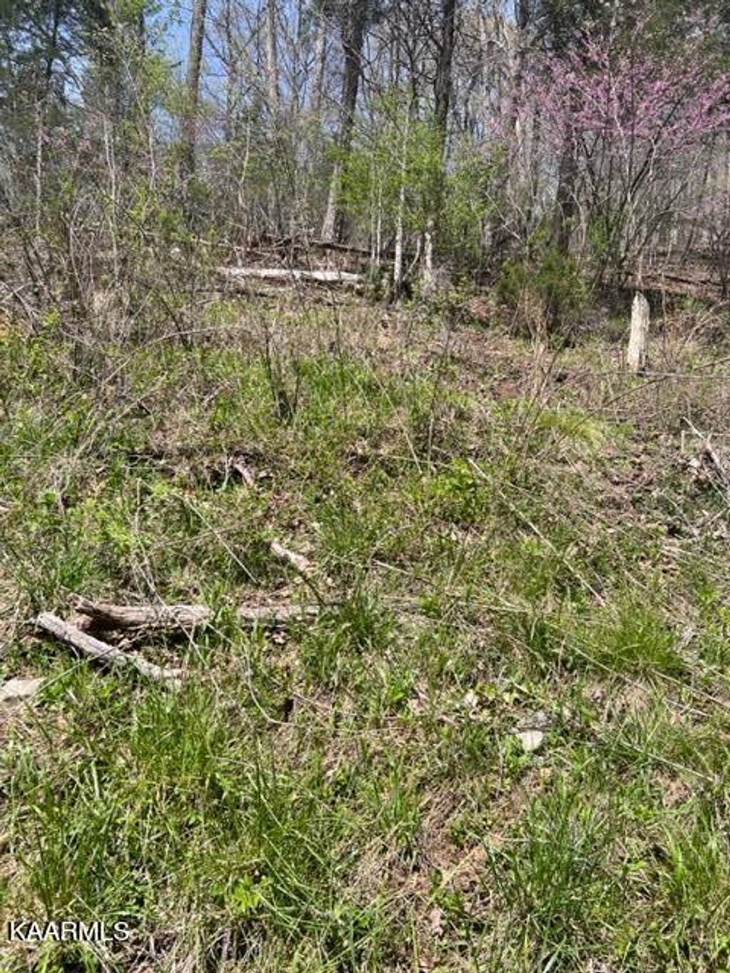 Photo of Shackleford Lane Lane, Tazewell, TN 37879 (MLS # 1223267)