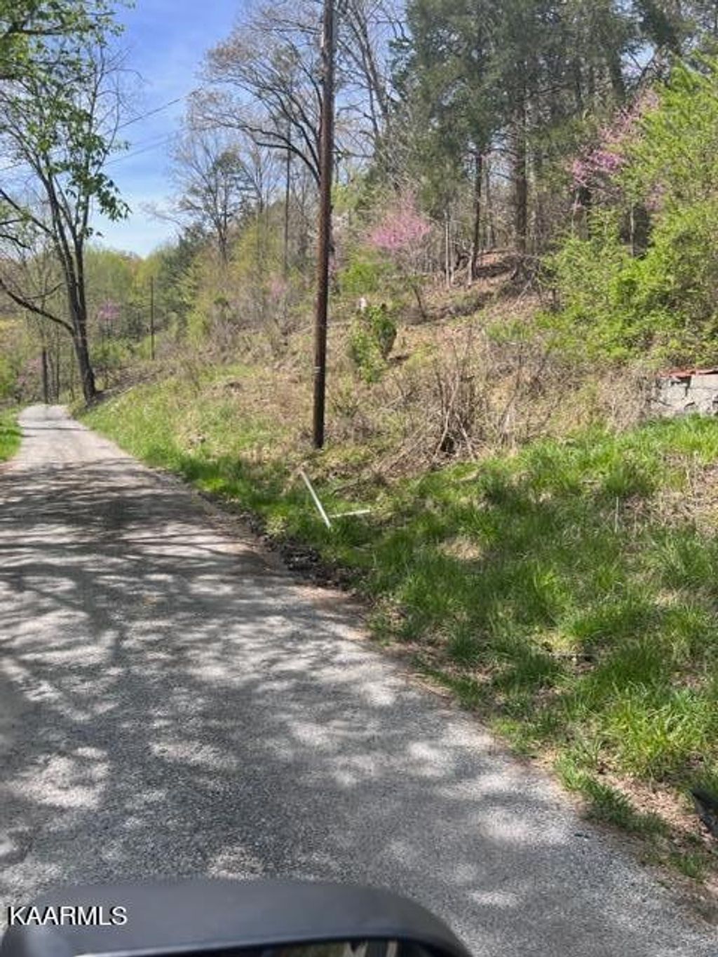 Photo of Shackleford Lane Lane, Tazewell, TN 37879 (MLS # 1223267)