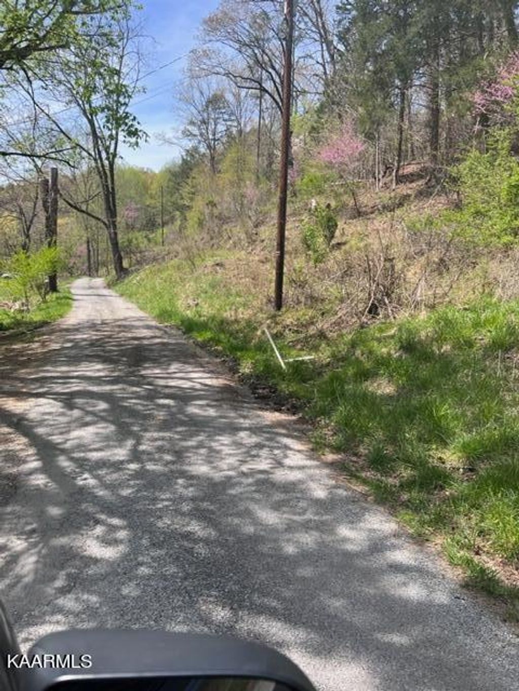 Photo of Shackleford Lane Lane, Tazewell, TN 37879 (MLS # 1223267)