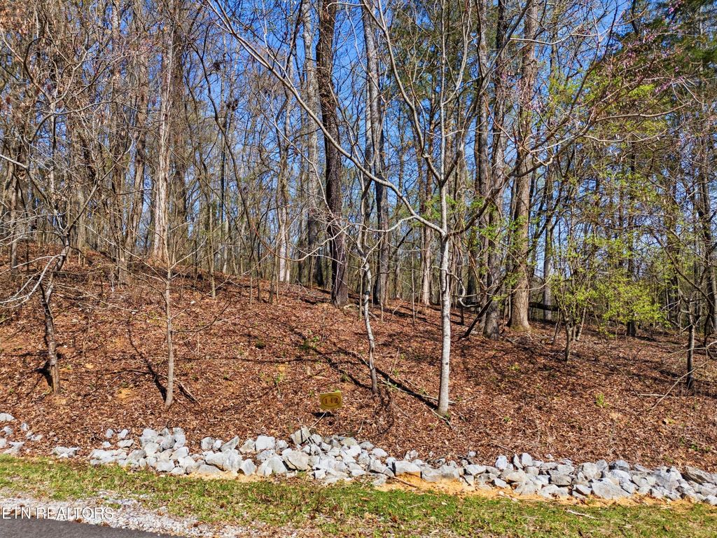 Photo of Lot 142 E Shore Drive, Rockwood, TN 37854 (MLS # 1334439)