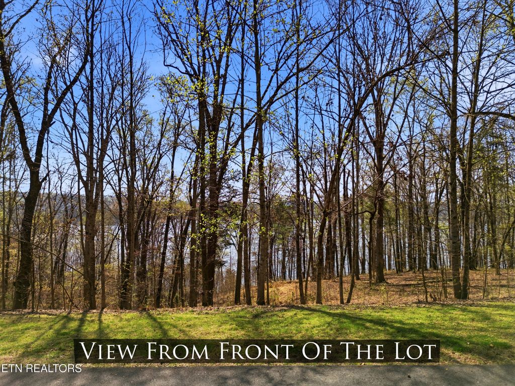 Photo of Lot 142 E Shore Drive, Rockwood, TN 37854 (MLS # 1334439)