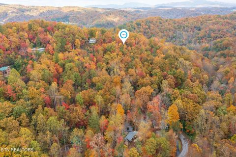 Tiny photo for 910 Laurel Mountain Rd, Gatlinburg, TN 37738 (MLS # 1321532)