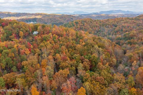 Tiny photo for 910 Laurel Mountain Rd, Gatlinburg, TN 37738 (MLS # 1321532)