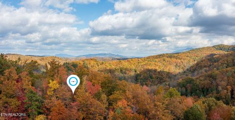 Tiny photo for 910 Laurel Mountain Rd, Gatlinburg, TN 37738 (MLS # 1321532)