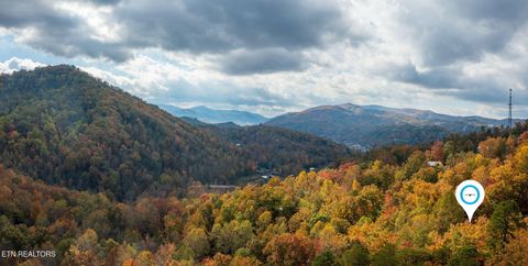 Tiny photo for 910 Laurel Mountain Rd, Gatlinburg, TN 37738 (MLS # 1321532)