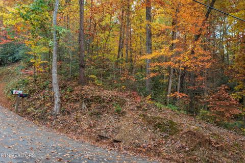 Tiny photo for 910 Laurel Mountain Rd, Gatlinburg, TN 37738 (MLS # 1321532)