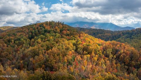 Tiny photo for 910 Laurel Mountain Rd, Gatlinburg, TN 37738 (MLS # 1321532)