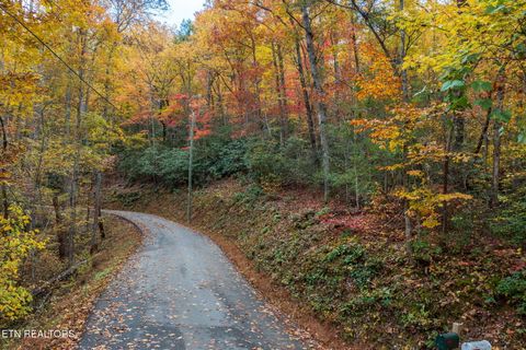 Tiny photo for 910 Laurel Mountain Rd, Gatlinburg, TN 37738 (MLS # 1321532)