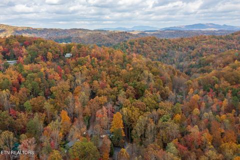 Tiny photo for 910 Laurel Mountain Rd, Gatlinburg, TN 37738 (MLS # 1321532)