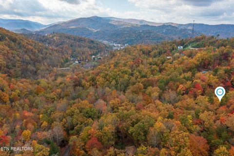 Tiny photo for 910 Laurel Mountain Rd, Gatlinburg, TN 37738 (MLS # 1321532)