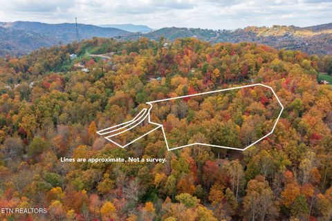 Tiny photo for 910 Laurel Mountain Rd, Gatlinburg, TN 37738 (MLS # 1321532)