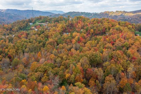 Tiny photo for 910 Laurel Mountain Rd, Gatlinburg, TN 37738 (MLS # 1321532)