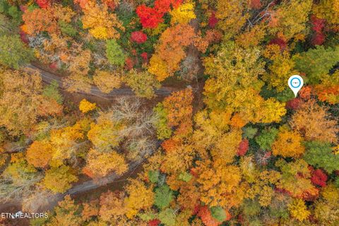 Tiny photo for 910 Laurel Mountain Rd, Gatlinburg, TN 37738 (MLS # 1321532)