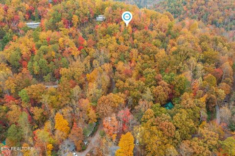 Tiny photo for 910 Laurel Mountain Rd, Gatlinburg, TN 37738 (MLS # 1321532)