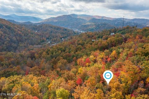 Tiny photo for 910 Laurel Mountain Rd, Gatlinburg, TN 37738 (MLS # 1321532)