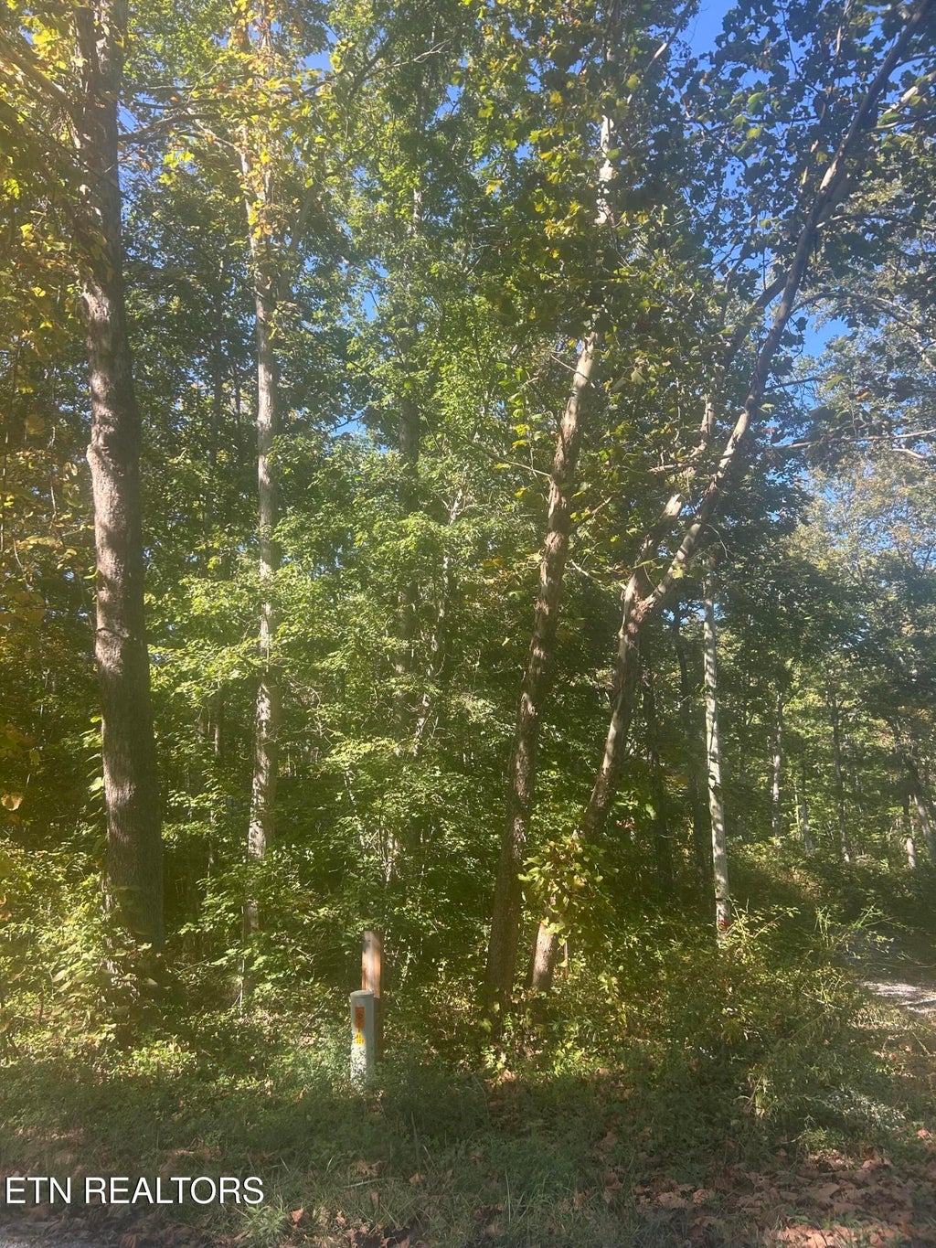 Photo of Timothy Drive #Lot 243, Crossville, TN 38572 (MLS # 1354901)