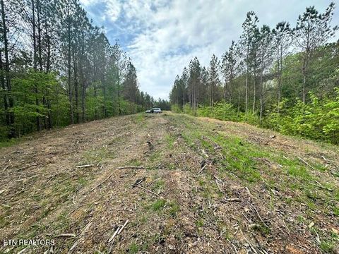 Tiny photo for Stonecipher Court, Robbins, TN 37852 (MLS # 1320153)