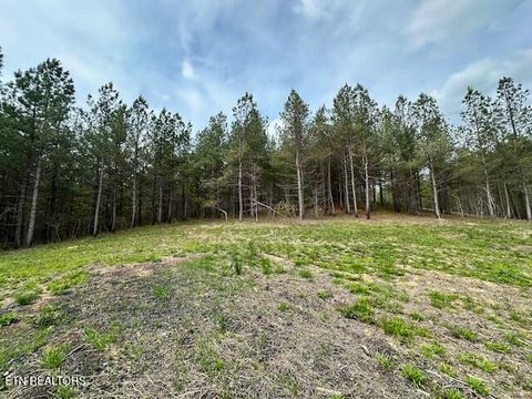 Tiny photo for Stonecipher Court, Robbins, TN 37852 (MLS # 1320153)