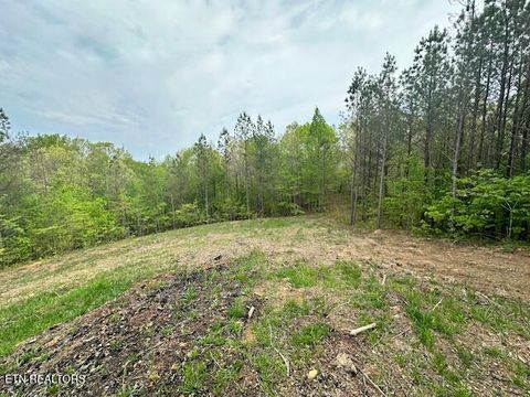 Tiny photo for Stonecipher Court, Robbins, TN 37852 (MLS # 1320153)