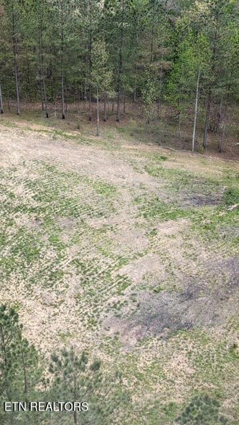 Tiny photo for Stonecipher Court, Robbins, TN 37852 (MLS # 1320153)