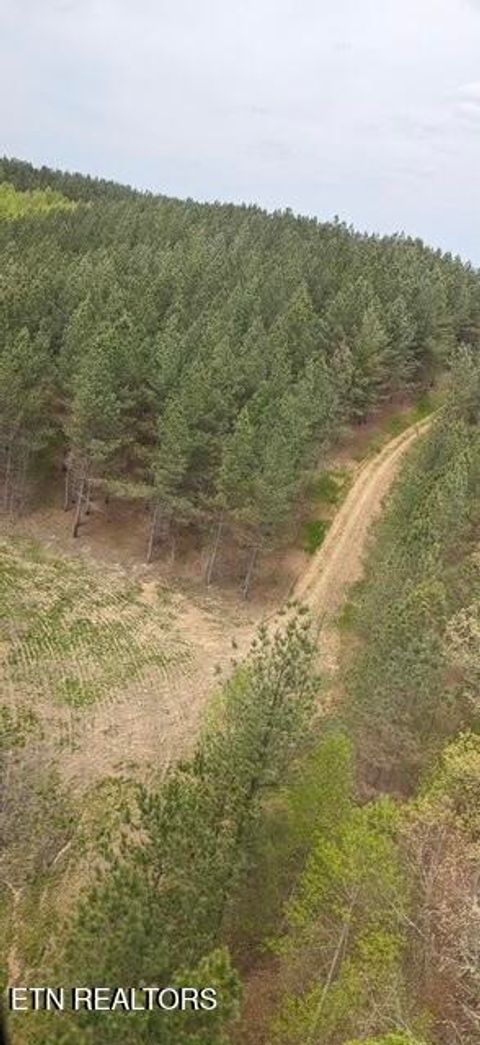 Tiny photo for Stonecipher Court, Robbins, TN 37852 (MLS # 1320153)