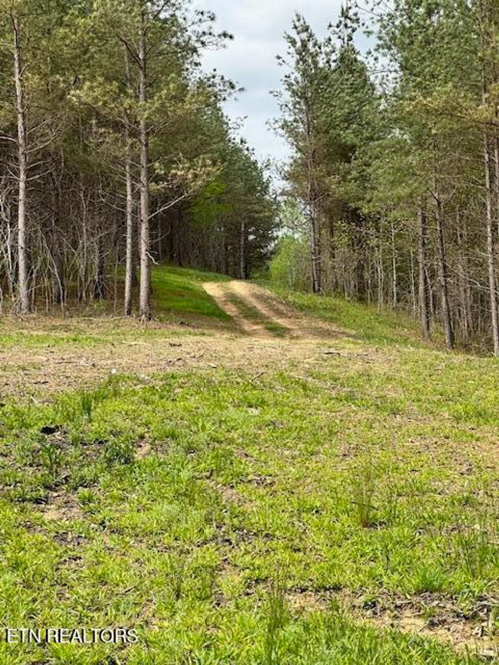 Photo of Stonecipher Court, Robbins, TN 37852 (MLS # 1320153)