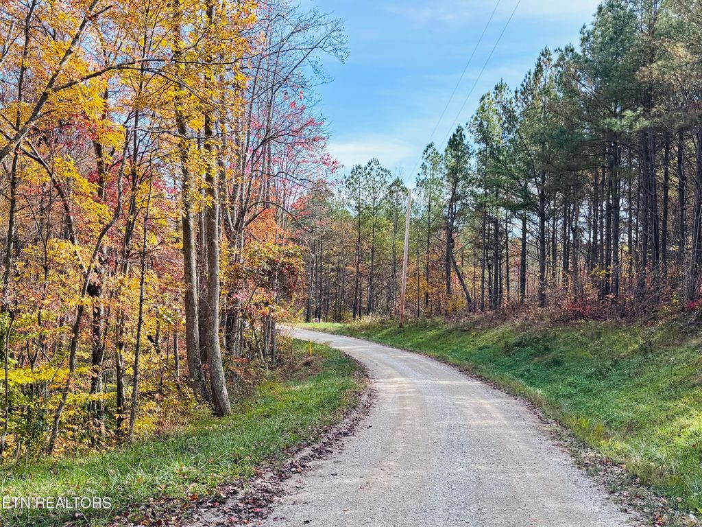 Photo of Stonecipher Court, Robbins, TN 37852 (MLS # 1320153)