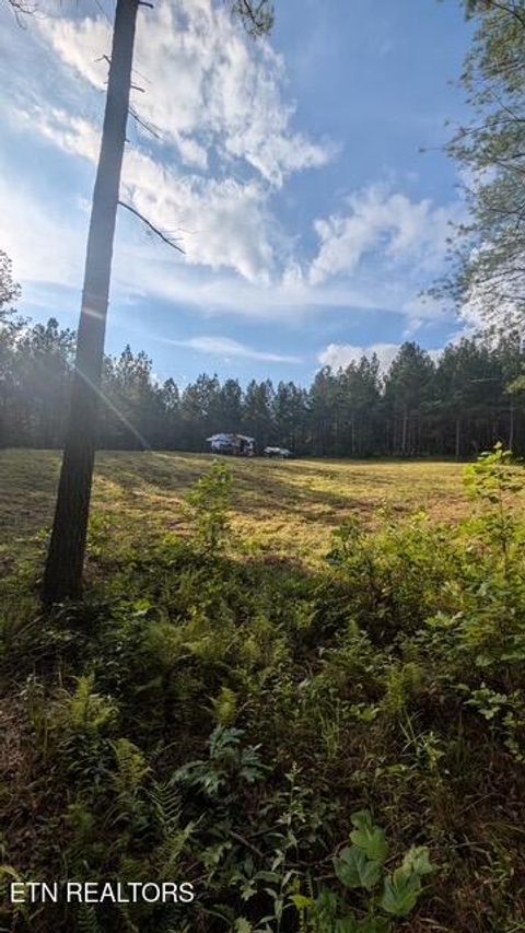 Tiny photo for Stonecipher Court, Robbins, TN 37852 (MLS # 1320153)