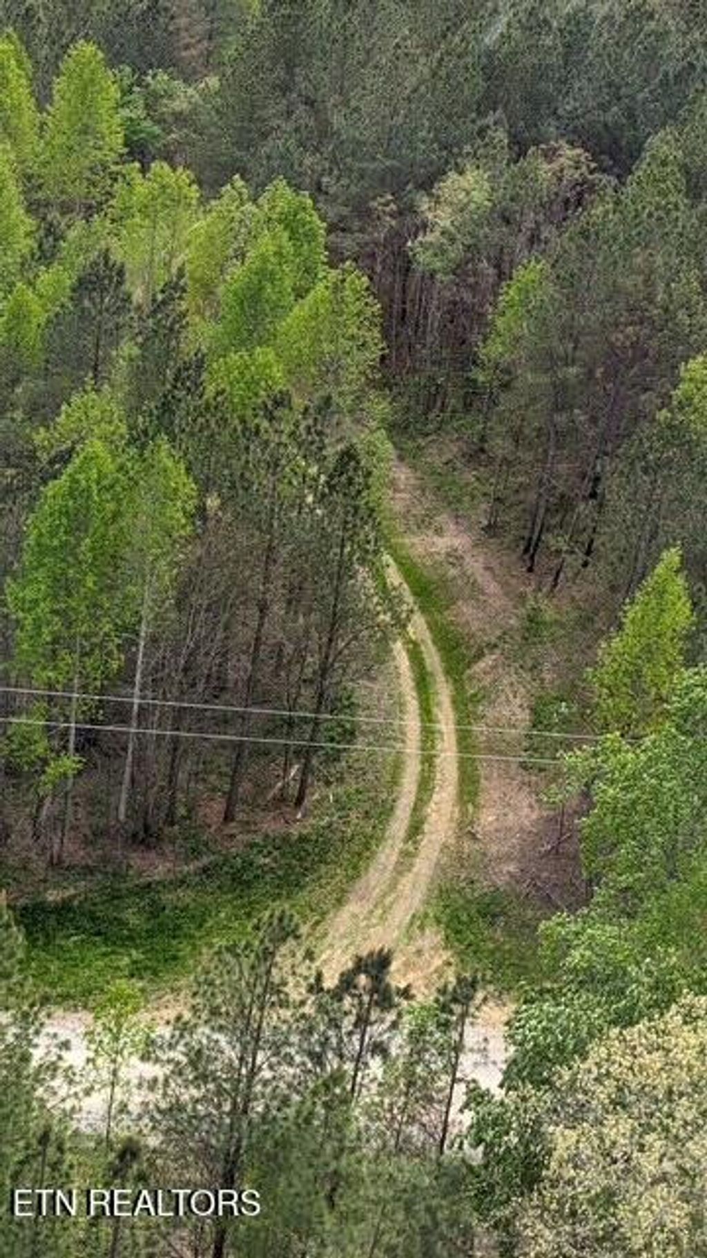 Photo of Stonecipher Court, Robbins, TN 37852 (MLS # 1320153)