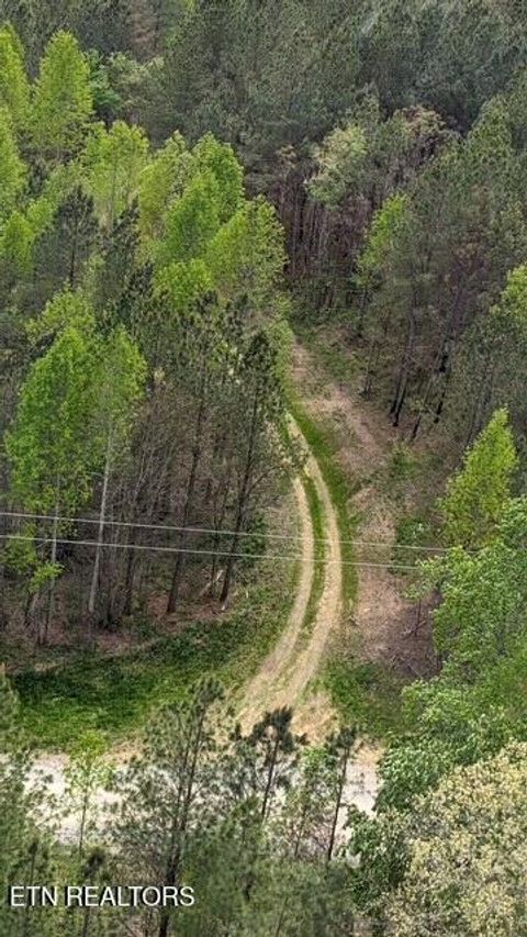 Tiny photo for Stonecipher Court, Robbins, TN 37852 (MLS # 1320153)