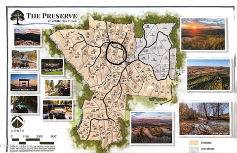 Tiny photo for Stonecipher Court, Robbins, TN 37852 (MLS # 1320153)