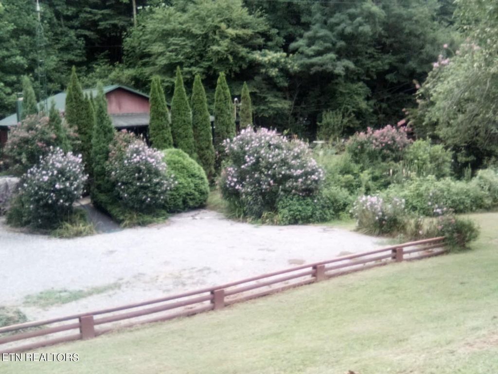 Photo of 465 Unicoi Lakes Rd, Tellico Plains, TN 37385 (MLS # 1270951)