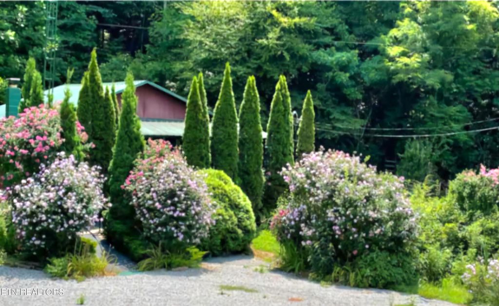 Photo of 465 Unicoi Lakes Rd, Tellico Plains, TN 37385 (MLS # 1270951)