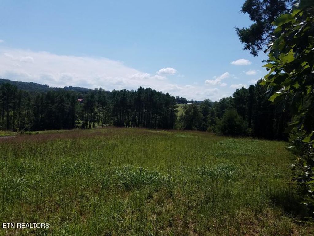 Photo of Tommy Loop Rd, Sweetwater, TN 37874 (MLS # 1343875)
