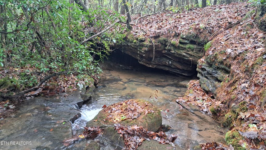 Photo of Airport Rd - Lot 23 (PCA), Rockwood, TN 37854 (MLS # 1299849)