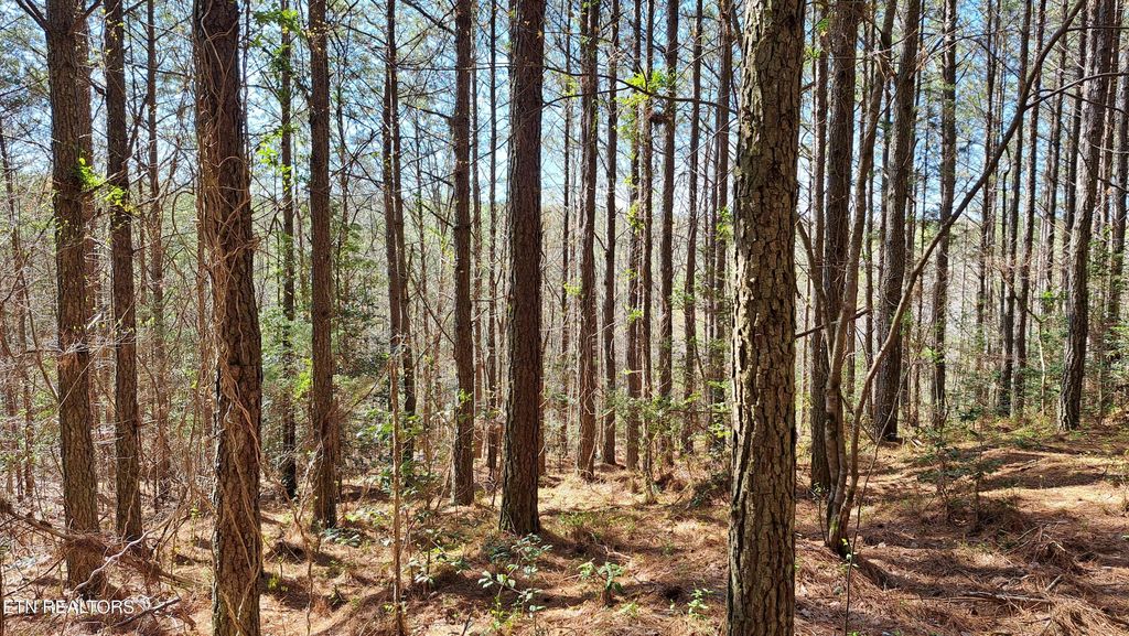 Photo of Airport Rd - Lot 23 (PCA), Rockwood, TN 37854 (MLS # 1299849)