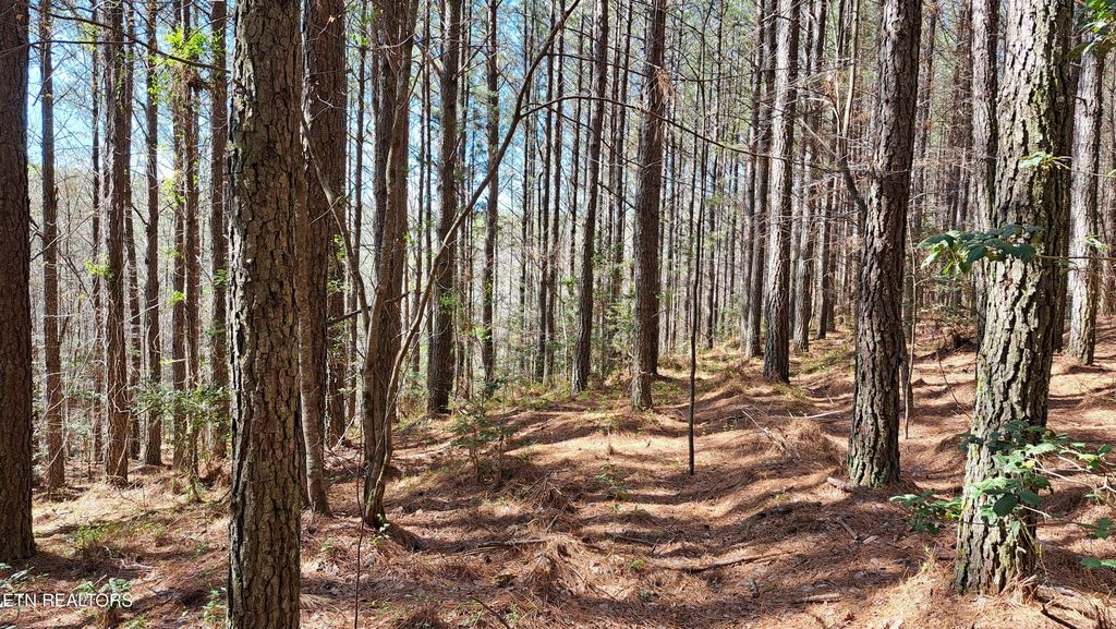Photo of Airport Rd - Lot 23 (PCA), Rockwood, TN 37854 (MLS # 1299849)