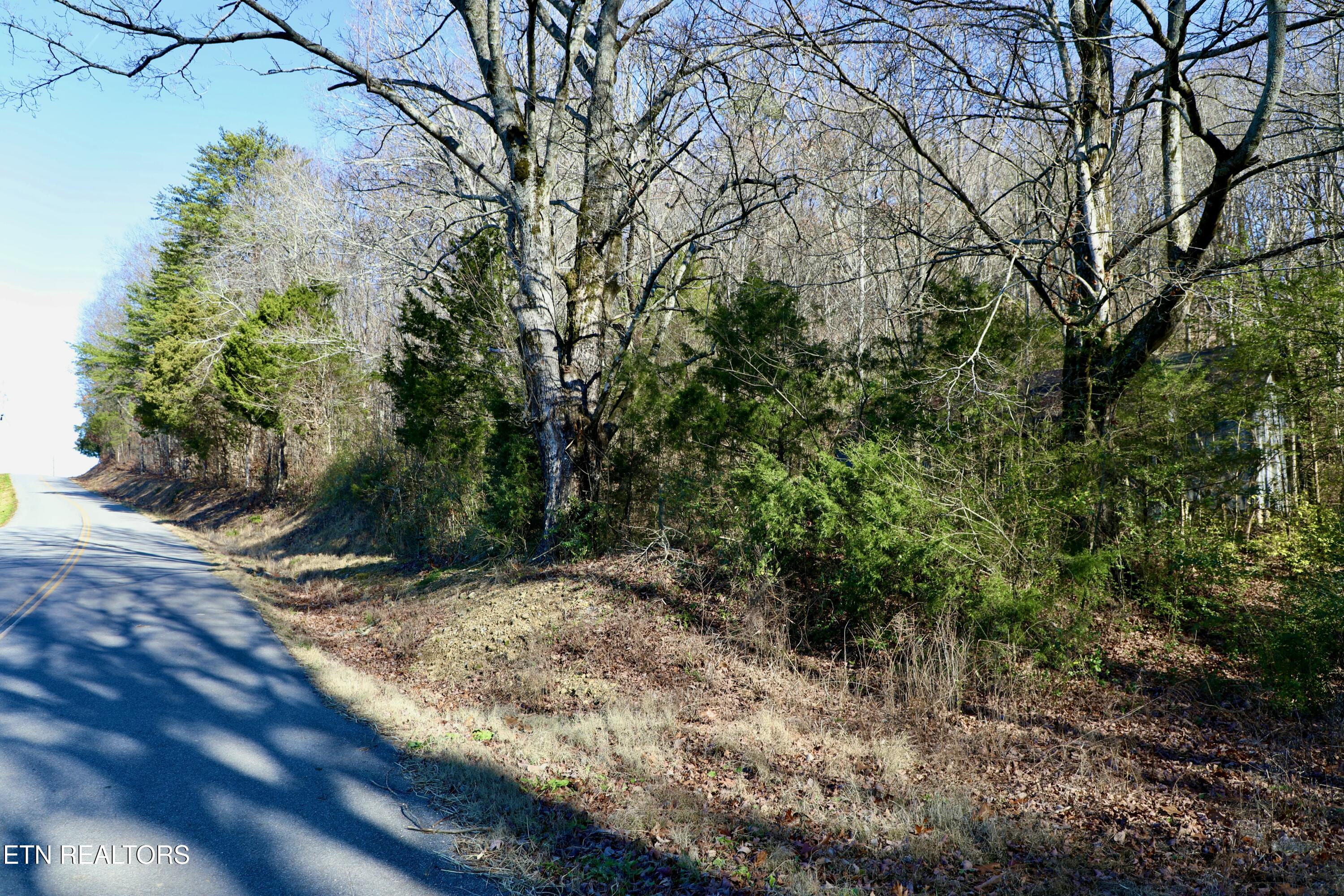 Tract 1 County Road 279