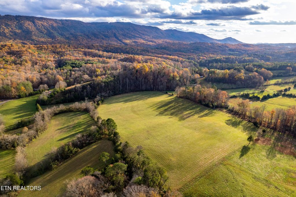 Photo of 1033 Oscar Best Rd, Maryville, TN 37803 (MLS # 1331291)