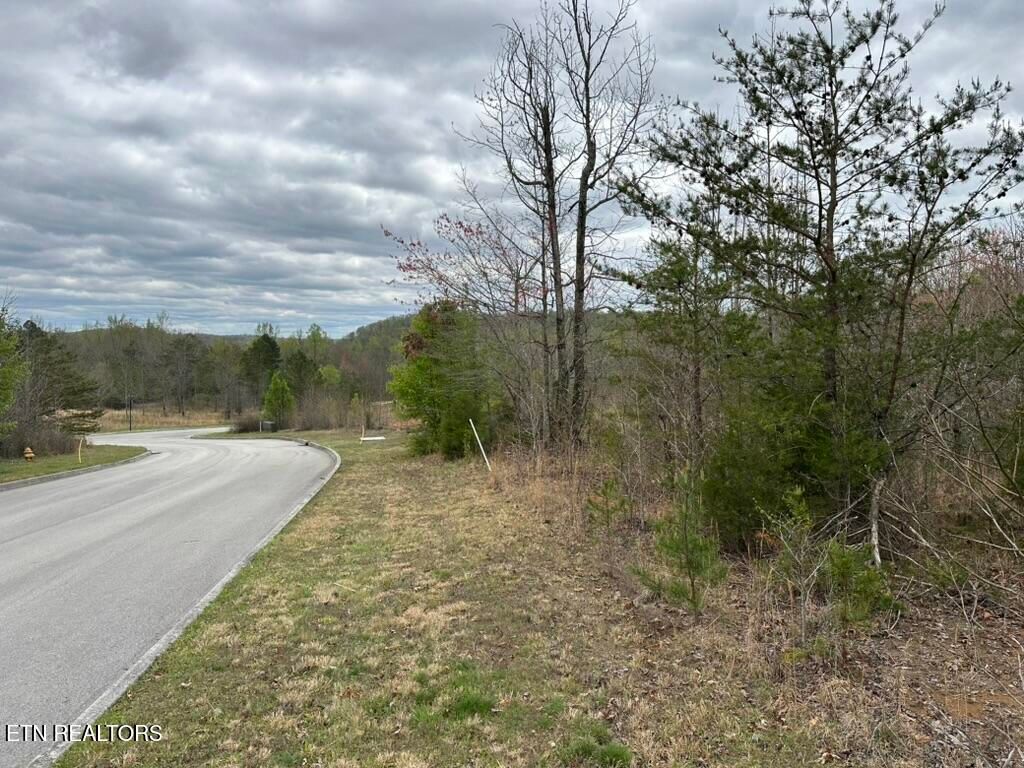 Photo of 309 Caney View Drive, Harriman, TN 37748 (MLS # 1338178)