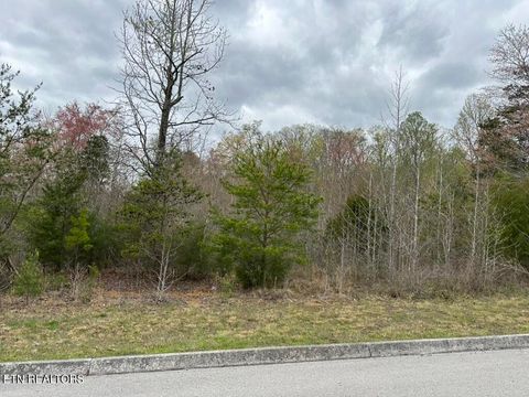 Photo of 309 Caney View Drive, Harriman, TN 37748 (MLS # 1338178)