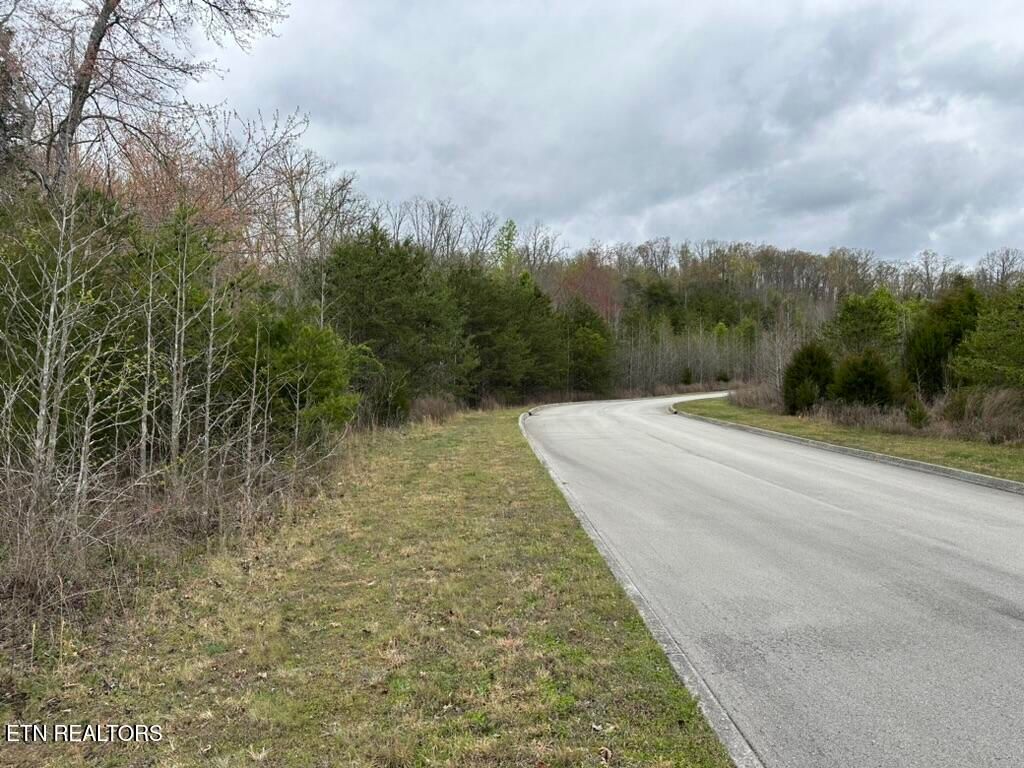 Photo of 309 Caney View Drive, Harriman, TN 37748 (MLS # 1338178)