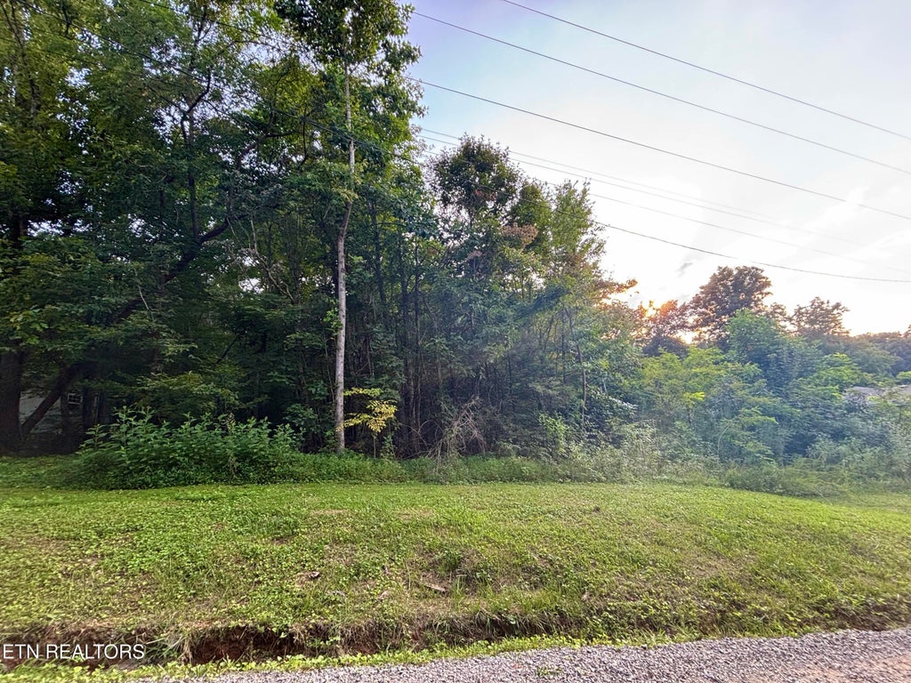 Photo of Wintergreen Lane, Cosby, TN 37722 (MLS # 1354028)